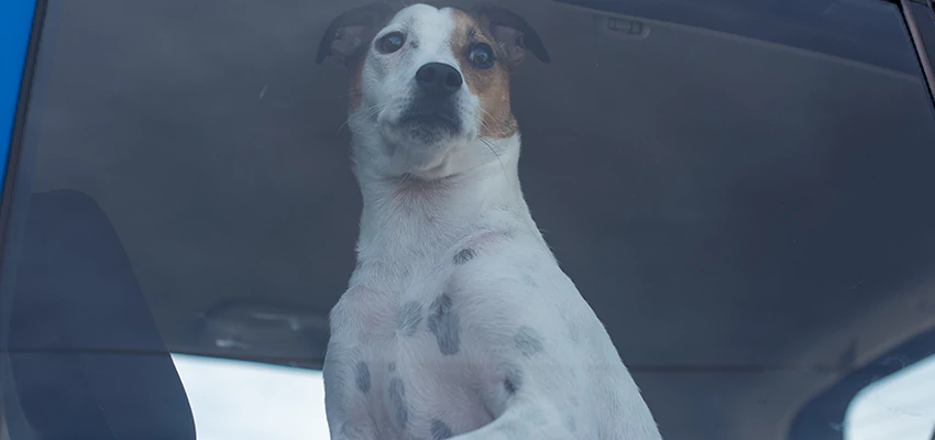 Car Lockout Solutions in South Lake Tahoe, California